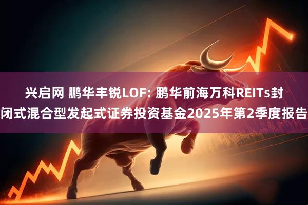 兴启网 鹏华丰锐LOF: 鹏华前海万科REITs封闭式混合型发起式证券投资基金2025年第2季度报告